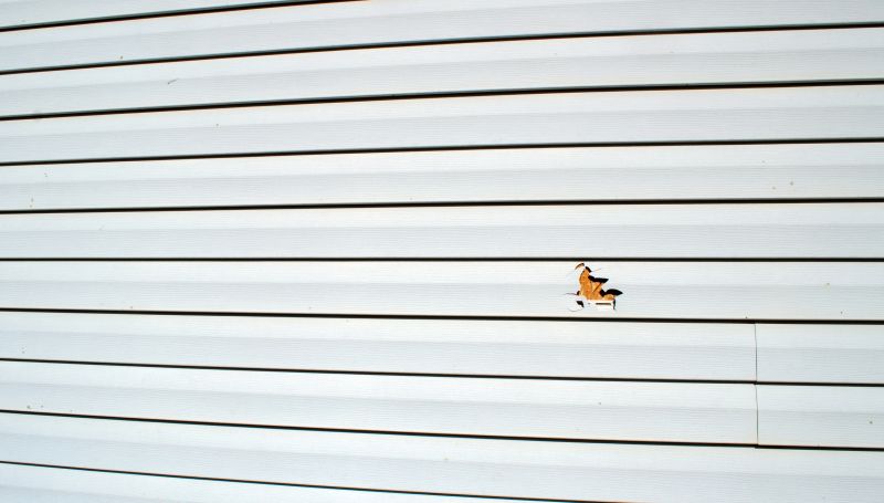 Siding Maintenance Services