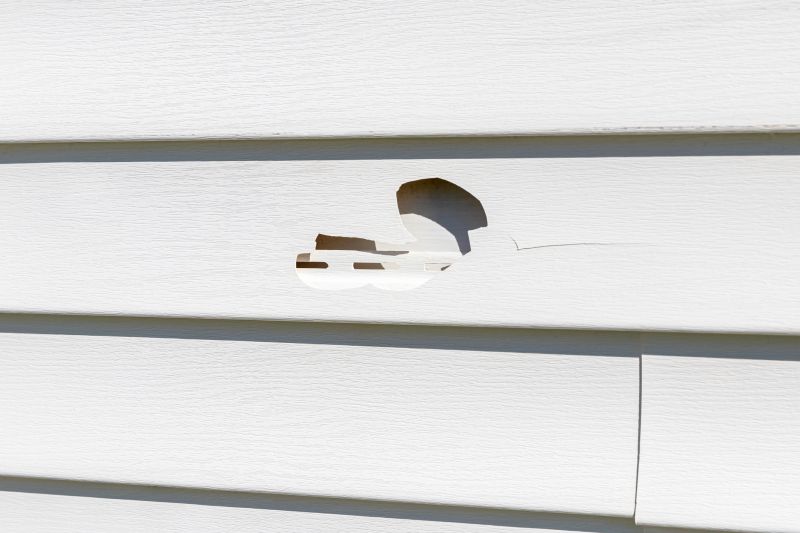 Vinyl Siding Repair - Image 1