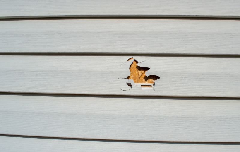 Vinyl Siding Repair - Image 4